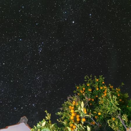 "Villa Servanda " - Relax, Nature, Wide Views Of The Sea And A Starry Sky ปุนตากอร์ดา ภายนอก รูปภาพ