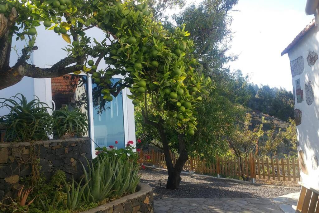 "Villa Servanda " - Relax, Nature, Wide Views Of The Sea And A Starry Sky ปุนตากอร์ดา ภายนอก รูปภาพ