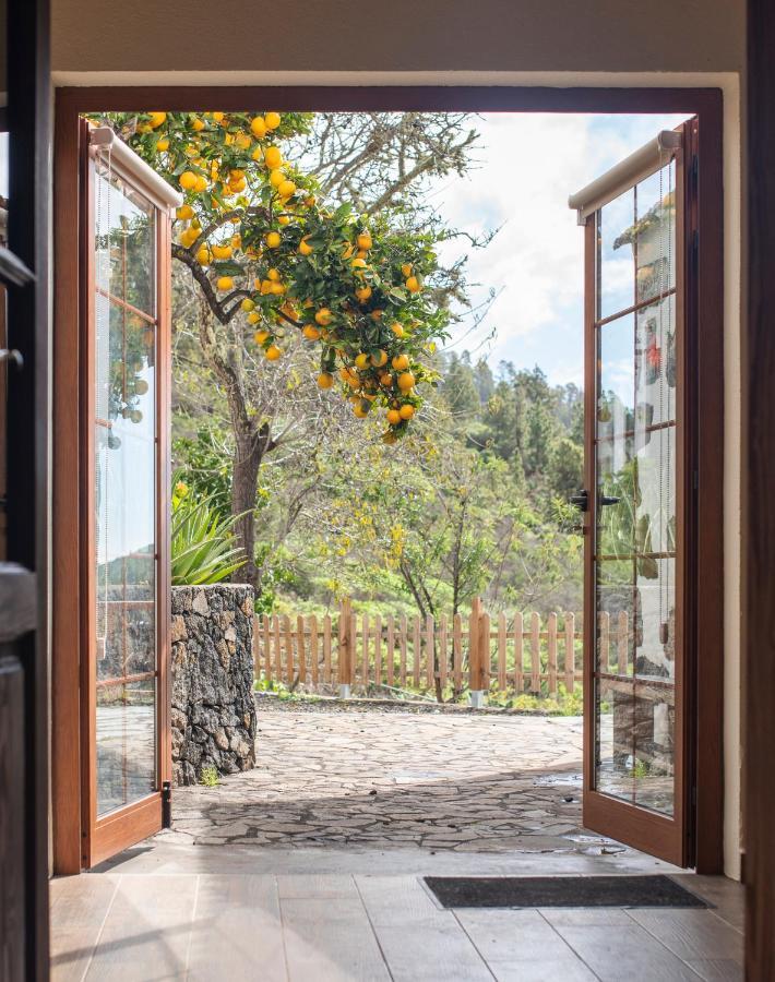 "Villa Servanda " - Relax, Nature, Wide Views Of The Sea And A Starry Sky ปุนตากอร์ดา ภายนอก รูปภาพ