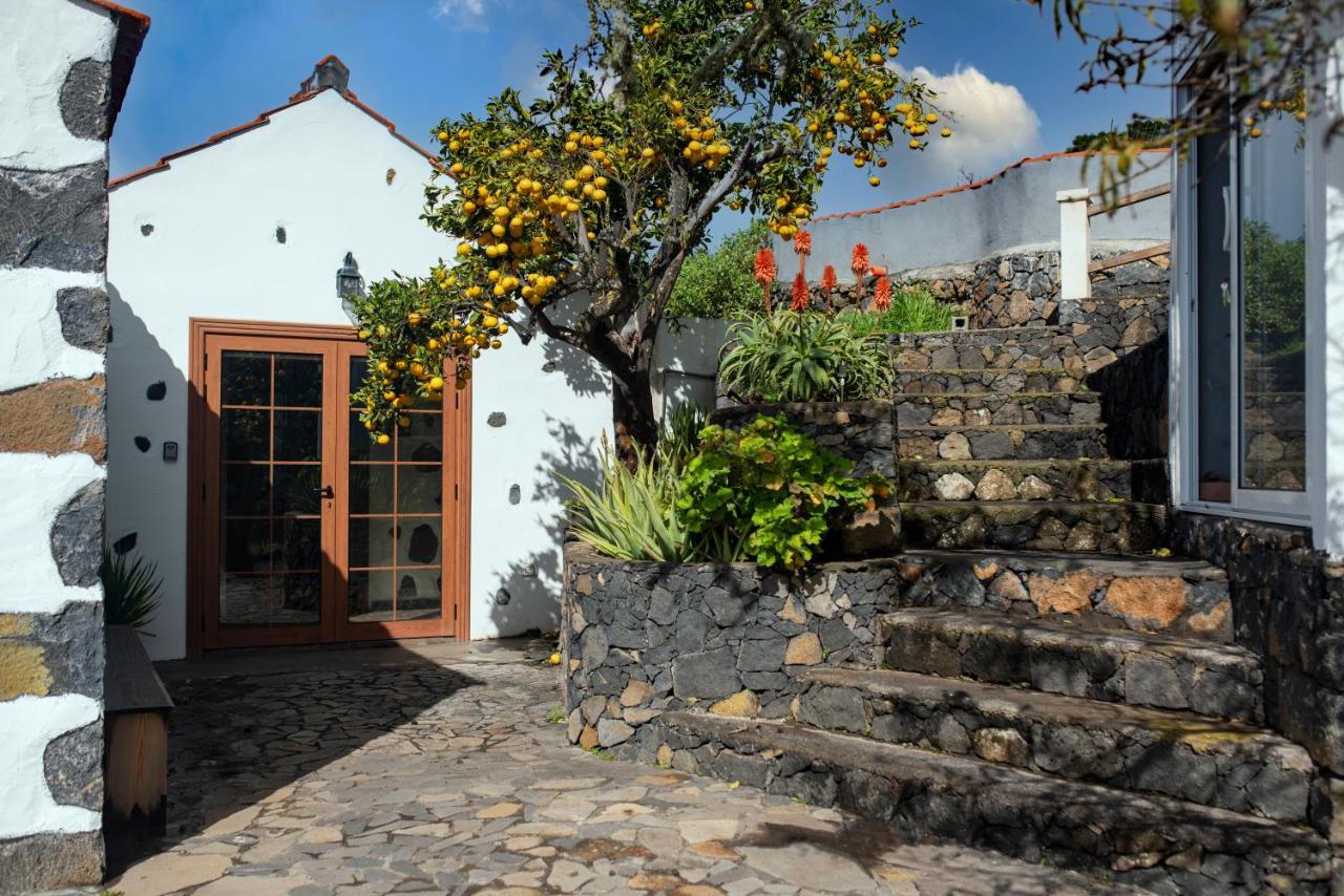 "Villa Servanda " - Relax, Nature, Wide Views Of The Sea And A Starry Sky ปุนตากอร์ดา ภายนอก รูปภาพ